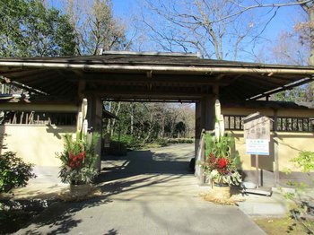 日本庭園松飾3 のコピー.jpg
