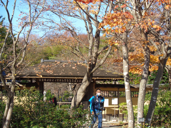 日本庭園正門 のコピー.jpg
