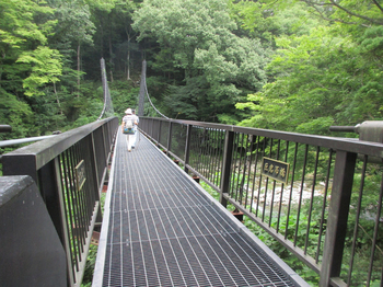 木の俣渓谷2巨岩吊り橋.jpg