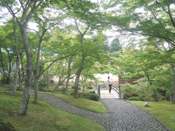 箱根美術館庭2 のコピー.jpg