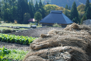 藁と農家DSC_0035 のコピー.jpg
